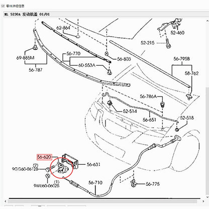 Chapa Actuador Seguro Apertura Capot Delantero para Mazda Premacy 1999-2005 CP 323 BJ CB07-56-620